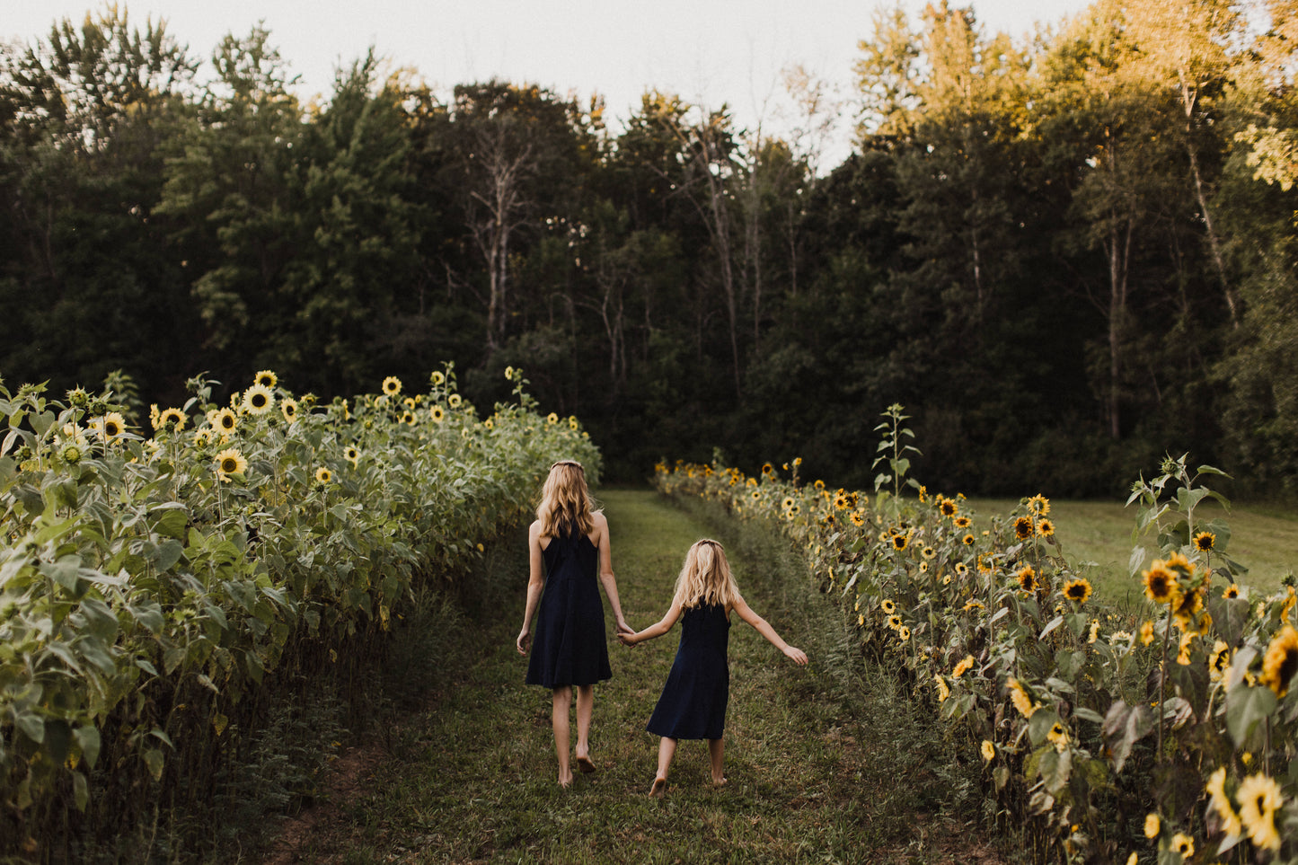 Photography Venue Rental - 1 HR