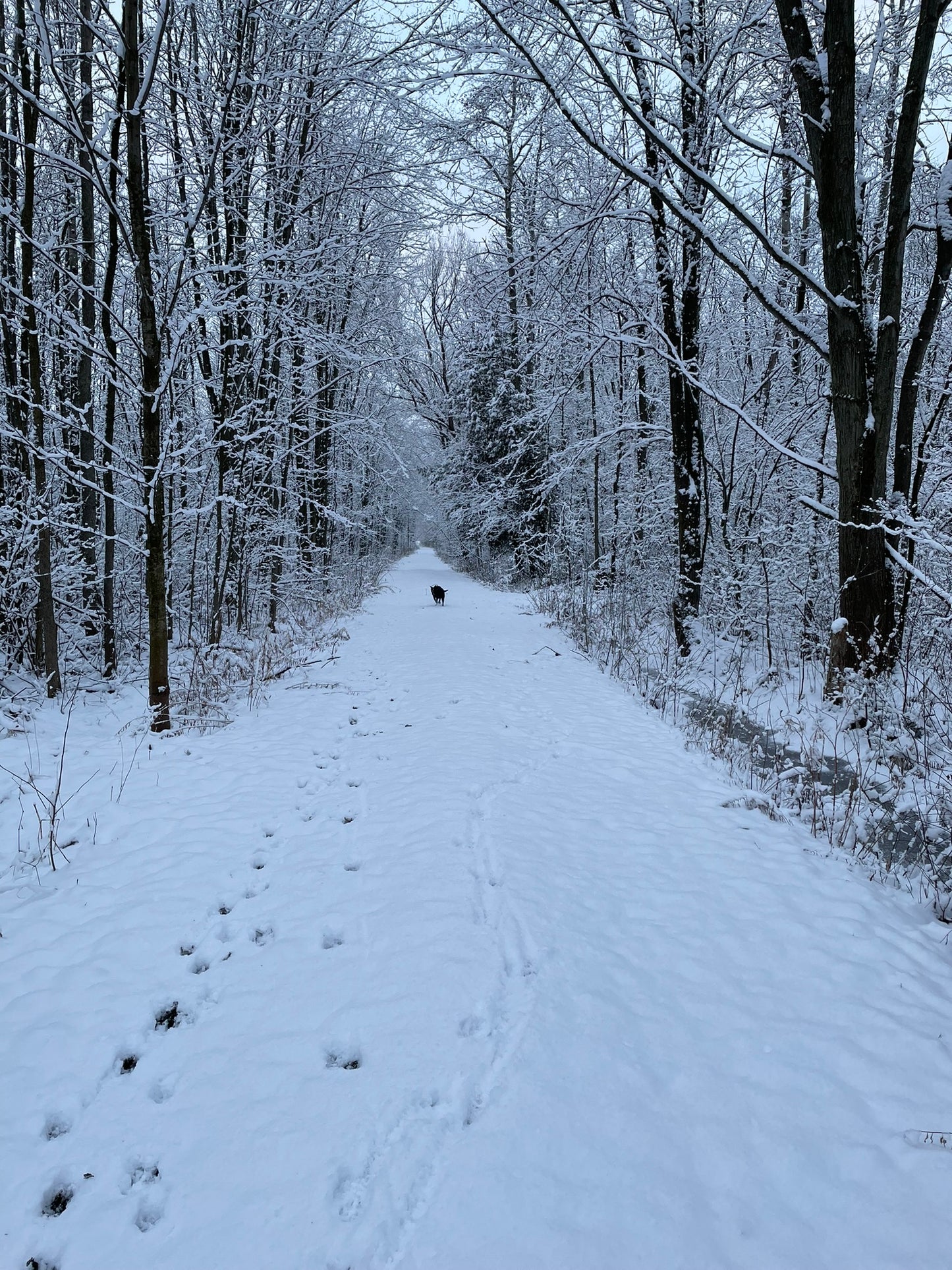 Winter Photography Venue Rental - 1 HR